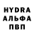 Альфа ПВП СК Merdan Annagurbanow