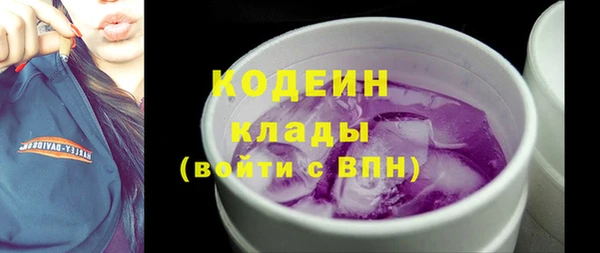 дмт Арсеньев