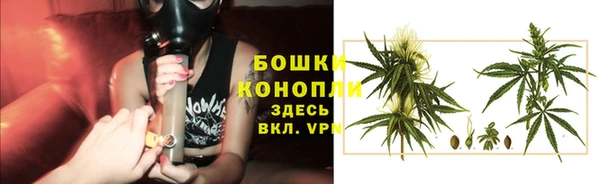 трава Аркадак