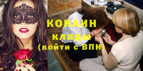 прущие грибы Армянск