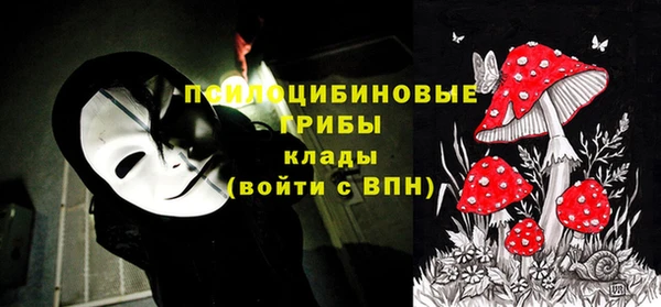 прущие грибы Армянск