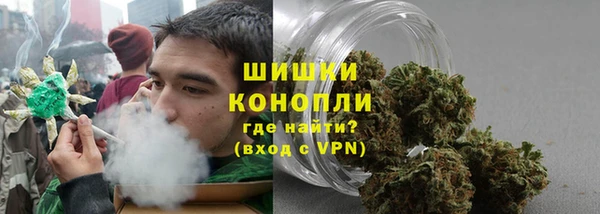 прущие грибы Армянск