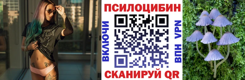 Псилоцибиновые грибы прущие грибы  Строитель 