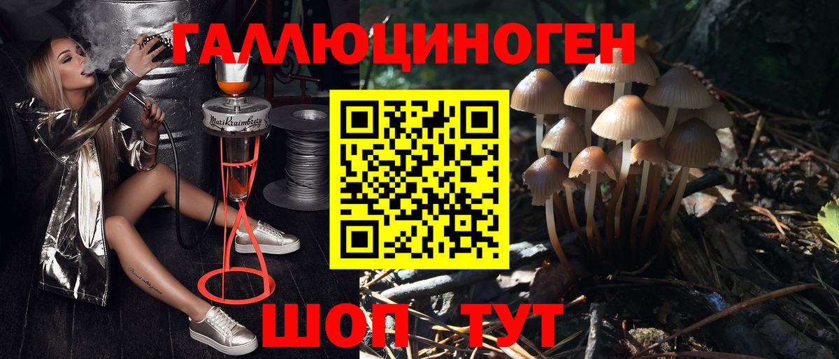 Галлюциногенные грибы Cubensis  Вход с VPN  Строитель  Галлюциногенные грибы Magic Shrooms 