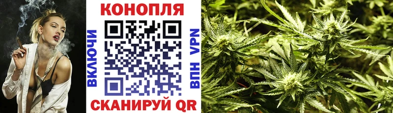закладки  Строитель  Бошки марихуана план 